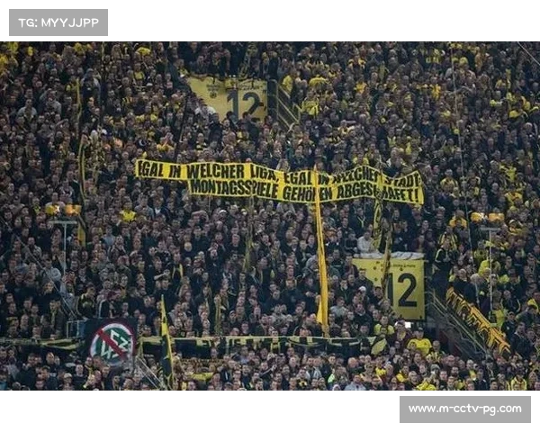 德甲直播平台增多 中国球迷观赛选择更加丰富